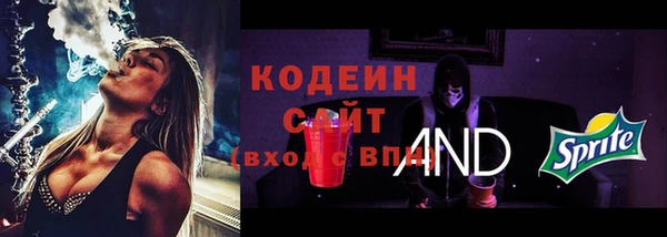 гидра Арсеньев