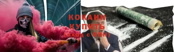 шишки Аркадак