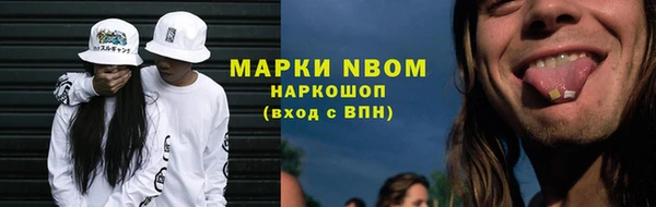 шишки Аркадак