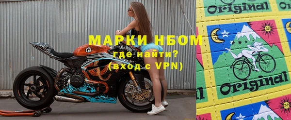 шишки Аркадак