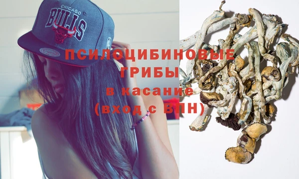 гидра Арсеньев