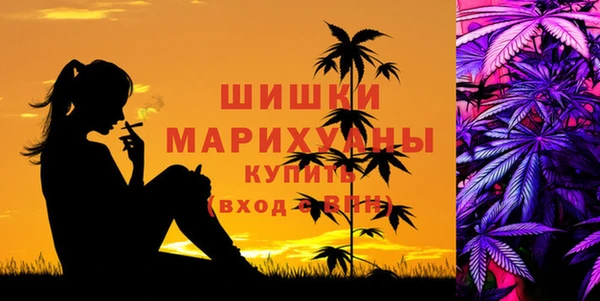 гидра Арсеньев